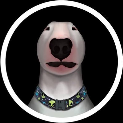 WalterInuBSC Profile Picture