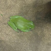 Storm Cook (@stormcook) 's Twitter Profile