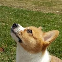Jessy Hirthe (@hirthejess37360) 's Twitter Profile