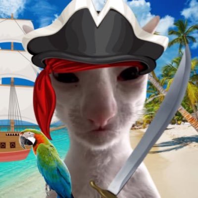pirate_posting Profile Picture