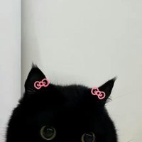 ヒヤシンス (@fleurhyacinth_) 's Twitter Profile Photo ヒヤシンス (@fleurhyacinth_) 's Twitter Profile Photo
