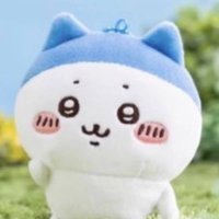 ๐คใใใใ๐ค (@kaorin_123kp) 's Twitter Profile