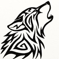 Drake Nitzsche (@nitzschedr56374) Twitter profile photo