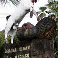 bagelen_bersatu (@bagelenunited) 's Twitter Profile
