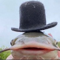 Garloid 🐟(@garloids) 's Twitter Profile Photo