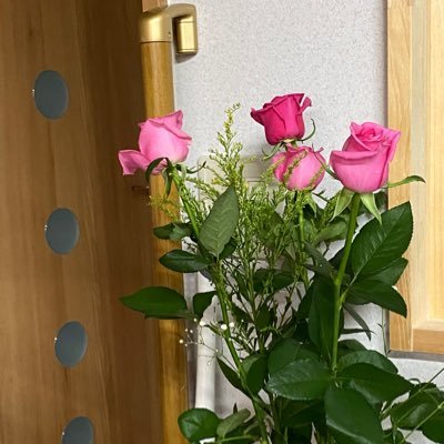 SMAP解散騒動からお茶の間ファンから ファンクラブへ入会 、その後NAKAMAになり応援させて頂いてます😆 韓国時代劇にハマり そこからEXOD.O.氏にはまりEXOメンバーの応援もしてます♪ 推しは推せる時に推せ👍