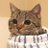 ammemadd's profile image