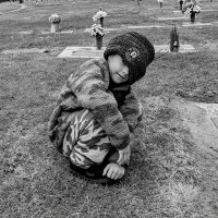 Lost (@lostpatriotdad) 's Twitter Profile Photo Lost (@lostpatriotdad) 's Twitter Profile Photo