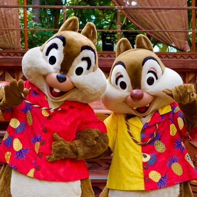 あいるさんのプロフィール画像