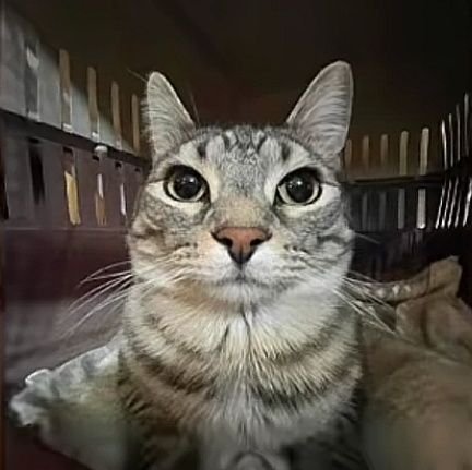 JSalamanca2511's profile picture. 