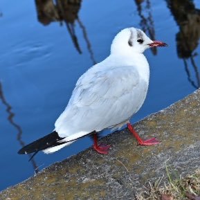 肌現像に命をかけるポートレーターです📷