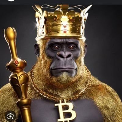 NO FEAR KINGKONG IS HERE #bitcoin 

GEM HUNTER TRYING TO FIND THE LOWEST 4 U!!
O.G runestoner