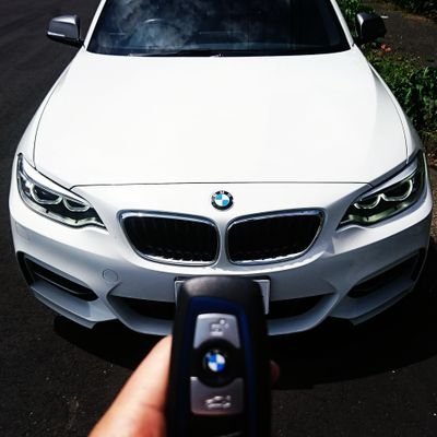 noborderzbmw2 Profile Picture