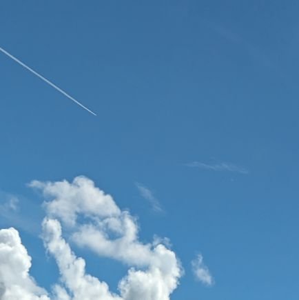 3KAOp15kjf71301's profile picture. 