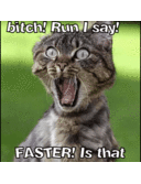 Amber Chick Dutton - @AmberDutton1 - Twitter