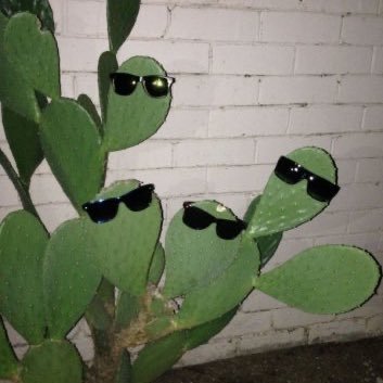 errorprone00's profile picture. 