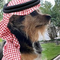 Charlie Morris the Super Gremlin (@secdeeznutzz) 's Twitter Profile