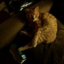 joy judd - @mjoyjudd - Twitter