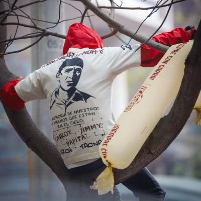 piiddy7's profile picture. 