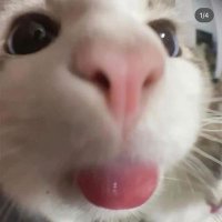hae 💭 (@haedotcom) Twitter profile photo