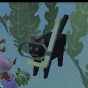 el agua para el gato. 💣⚒️ (@elyungsamu) 's Twitter Profile Photo el agua para el gato. 💣⚒️ (@elyungsamu) 's Twitter Profile Photo