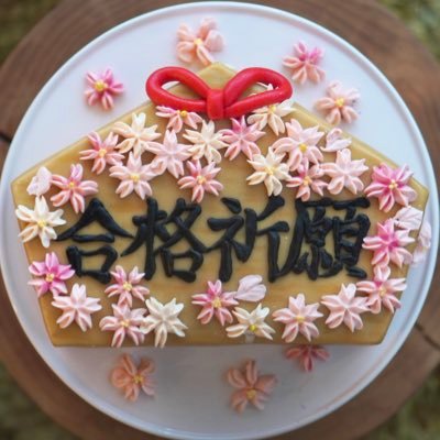 2024Y中受終了🌸中学でも引き続きボリュゾ。英検二級。二人ぐらし。時間に追われる日々。体力なしの医師。