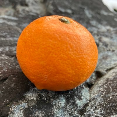 みかんおいちい🍊 どこにでもいる、東方好きとiPhoneが好きなオタク 某天子推しの別垢 宮城県民