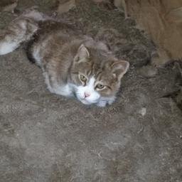 CallieHalv37694's profile picture. 