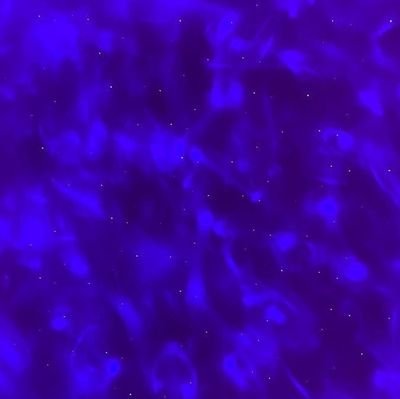 Nerearortiz's profile picture. Gatitos