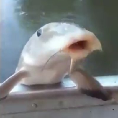 L33rgut's profile picture. Philosoph 

Bruh Sound Effect #2