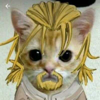 tonicordobamal1's profile picture. 