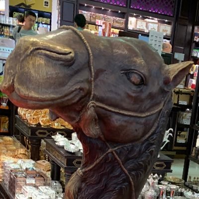 Ko518604Sato's profile picture. 特撮／人文・社会科学