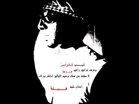 alshamse9's profile picture. 