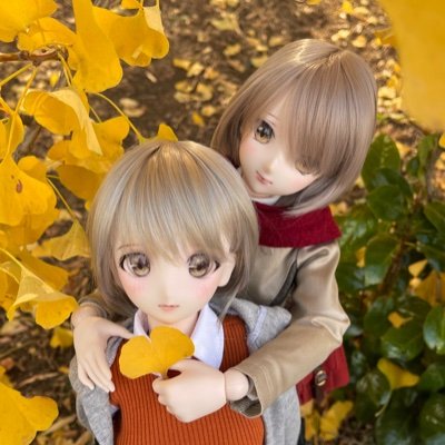 さくらづか🌸さんのプロフィール画像