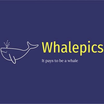 Giving whale plays to the public for free. Sourced through proprietary data, advanced algorithms and models 🐳🐋(1-1)