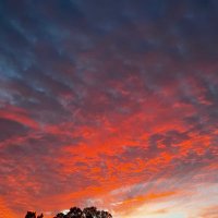 Valerie S. (@veezo72) 's Twitter Profile