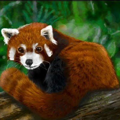 redelephant168's profile picture. 