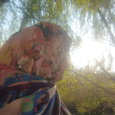 دختر بدمینتونبازی از دههی شصت که دبیر و مدرس دانشگاه و عاشق آشپزی و تدریسِ.