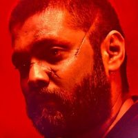 Beau Schaefer (@schaeferbe1652) 's Twitter Profile