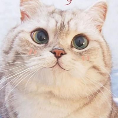 ThnngXas's profile picture. 