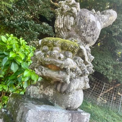 m_ariannnu's profile picture. @AliceCharot @ayaminico @fumika_tweet @hakafo_official 任天堂スイッチのフレンド 4140 7589 6511 バンドリのフレンド 48485473