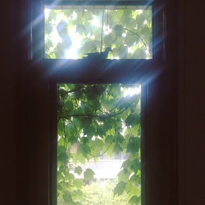 AnanKkkelly's profile picture. 