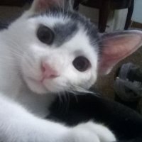 Tobin Blick (@blicktobin67791) 's Twitter Profile