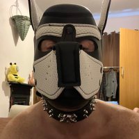 Patrick Goddard 🐾 (@patrickgoddar19) 's Twitter Profile