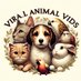 Viral Animal Vids (@Viralanimalvids) Twitter profile photo