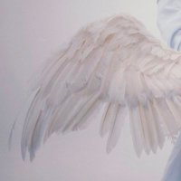 R (@rrr333777rrr) 's Twitter Profile