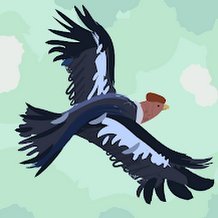 stone_ove's profile picture. 