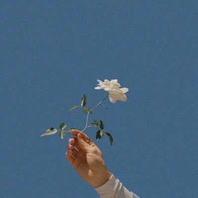 tiahk1720's profile picture. 🍏