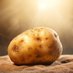 I am Potato (@PotatoManOG1) Twitter profile photo