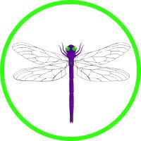 Natural Dragonfly Wellness(@NaturalDragonf1) 's Twitter Profile Photo
